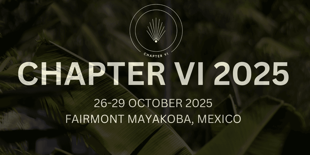 CHAPTER VI - 2025